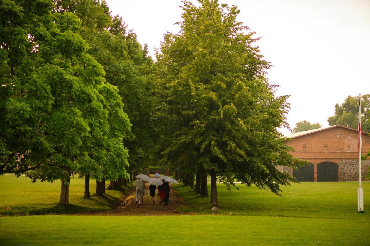 Relais & Chateaux Gutshaus Stolpe Stolpe an der Peene Buitenkant foto