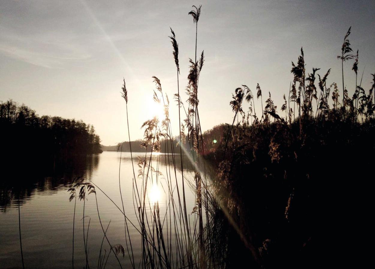 Relais & Chateaux Gutshaus Stolpe Stolpe an der Peene Buitenkant foto