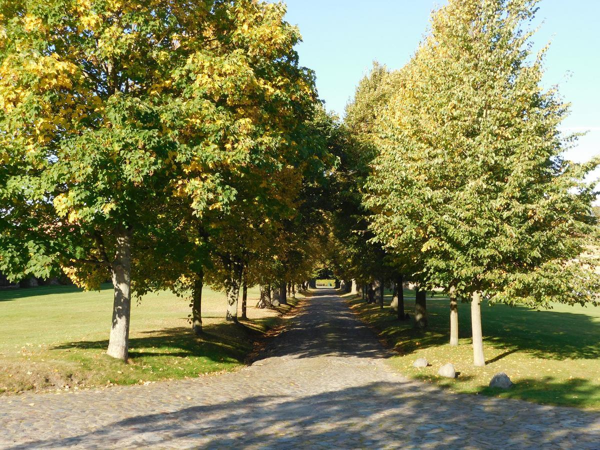 Relais & Chateaux Gutshaus Stolpe Stolpe an der Peene Buitenkant foto